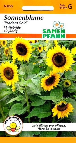 Sonnenblume pradera gold - sonnenblume,