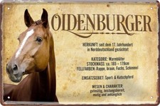 Blechschild 20x30 oldenburger - blechschild,