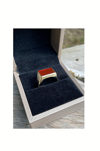 Herren gold siegel ring - herren,