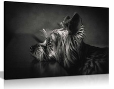 I Have Been Waiting For You