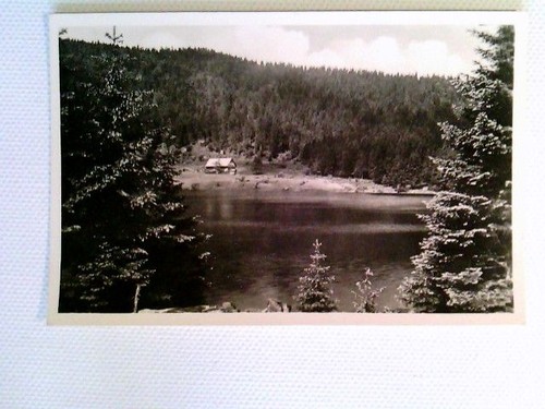 Kleiner arbersee bayer wald - kleiner, arbersee,