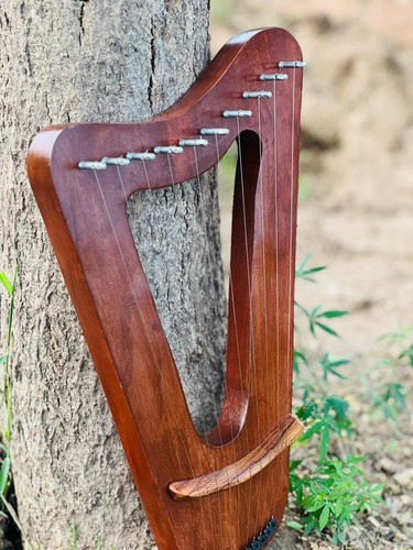 Handgefertigte palisander - palisander, 10