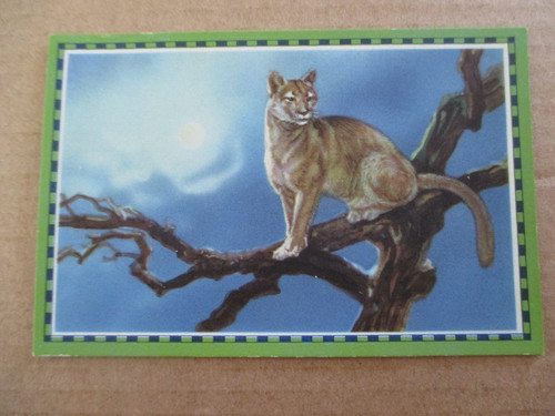 Bild chlorodont - 1.bild,