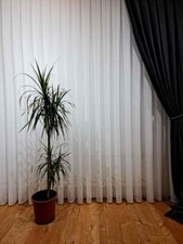 Gardinen Stores Vorhang Langstore Gardine mit Kräuselband Voile weiß transparent
