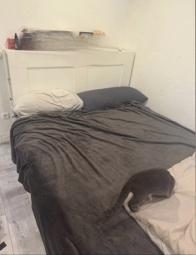 Bett mit stauraum - mit,