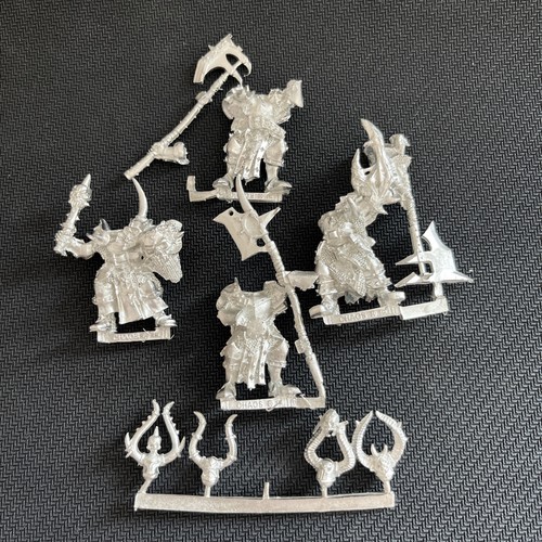 Warhammer fantasy krieger - -,