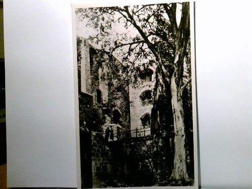 Ruine montclair mettlach im - montclair.,