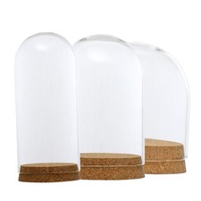 Glasdom Glaskuppel Glassturz