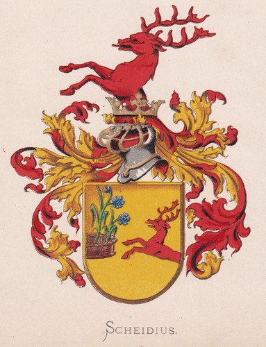 Scheidius wappen coat - coat, arms