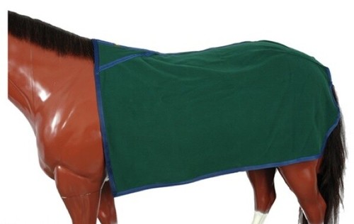 Horse masters übungsblatt - horse,