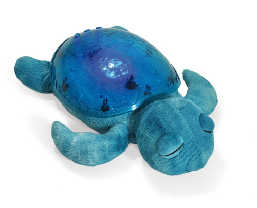 Cloud tranquil turtle - cloud,