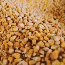 agrar-store 25kg Mais