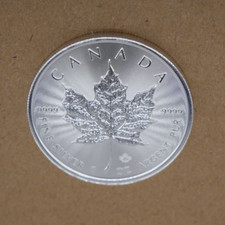 Maple leaf silber - maple,