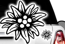 1x Edelweiss Aufkleber 11cm