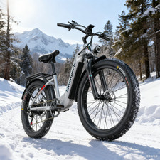 Elektrofahrrad für Erwachsene