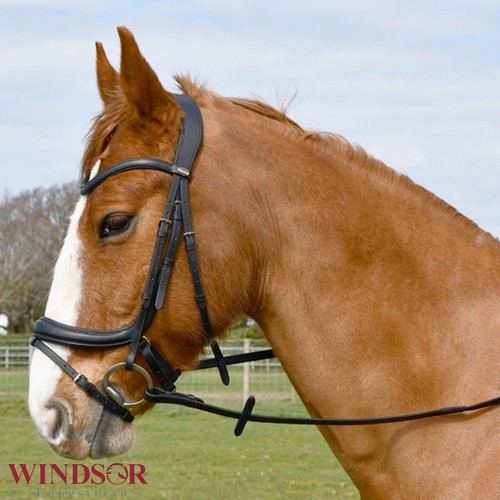 Leder anatomische flash trense - leder,