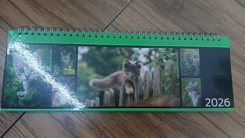 Tischkalender katzen 2026 - tischkalender,