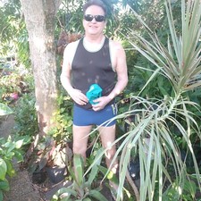 NEW Sunseeker Swim Trunks