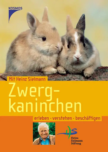 Zwergkaninchen