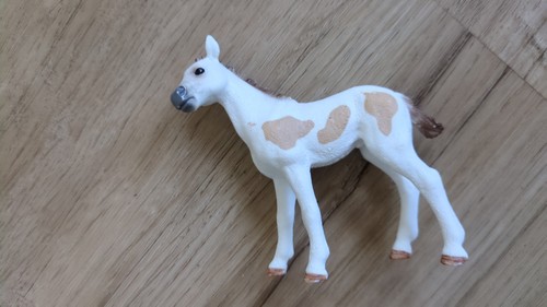 Paint horse fohlen - horse, 13886