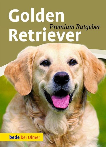 Golden retriever annette - retriever,