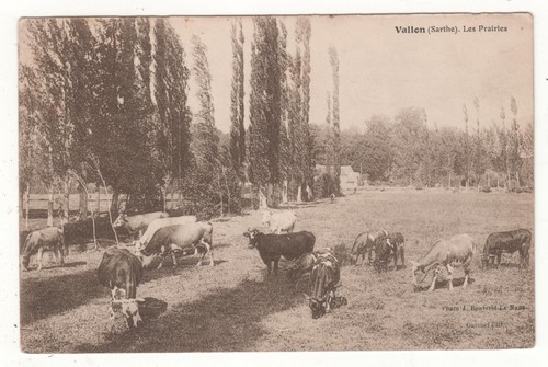 Seltene cpa vallon les - vallon:,