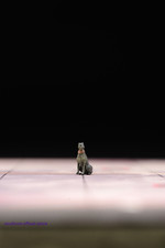 1/64 Sitting Dobermann Dog Pet