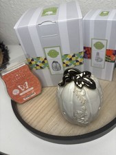 Neu Scentsy Elektrische