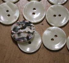 12 perlmuttfarbene Knöpfe -