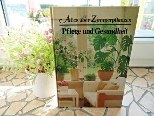 Alles über zimmerpflanzen - zimmerpflanzen,