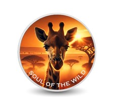  Sunset Sentinel: Soul of the