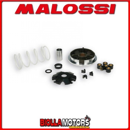 5111561 variomatik malossi - variomatik,