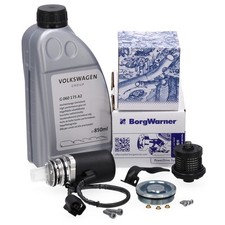 BORGWARNER Pumpe Haldex Vorladepumpe + Ölfilter 850mL Öl für VW MULTIVAN T5