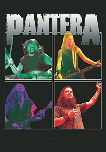 Pantera band frames flagge - -,
