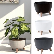 Blumentopf Blumenkübel mit