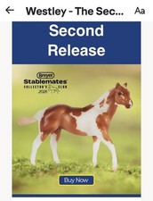 Westley Breyer Stablemate Club