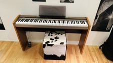 Casio Privia PX-100 Stage