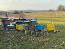 Imkerei gebraucht (Bienenbeuten, Honiggewinnung, Überwintern etc.)
