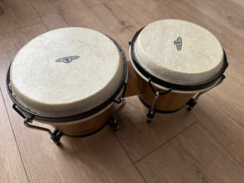 Große bongos naturholz - lp, cp