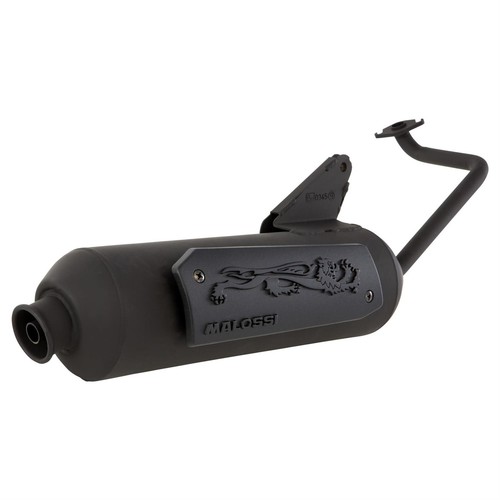 Auspuff malossi wild lion - auspuff,