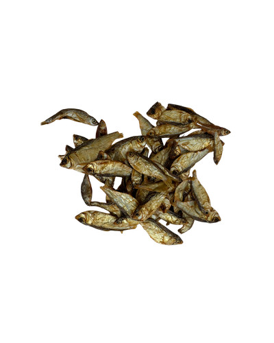 Sprotten fisch sprotte - sprotte, hund
