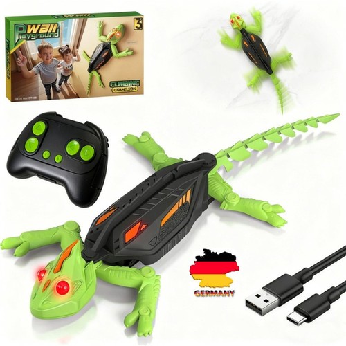 Wall crawler gecko - wall,