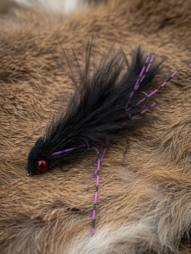 Blacked out trout - out",