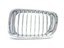 51138208683 FRONTGITTER /