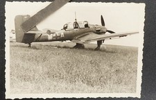Foto Wk2 Luftwaffe Stuka Bomber Junkers Ju Kampfflugzeug Wappen Geschwader 77