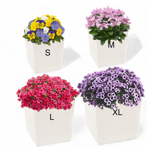 Blumenkübel eckig hochglanz - blumenkübel,