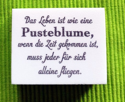 Blanche stempel fliegen - blanche,