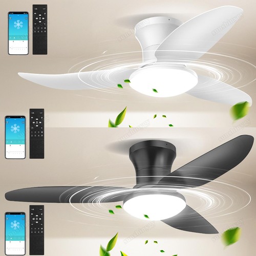 Deckenventilator led - deckenventilator,