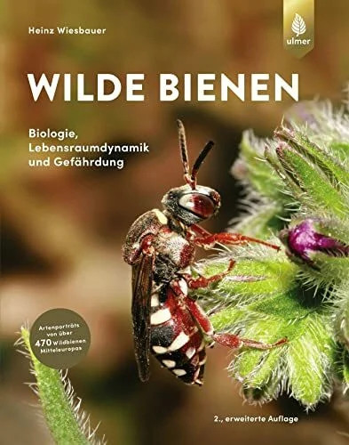 Wilde bienen biologie - wilde,