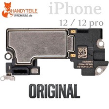 100% Original Hörmuschel